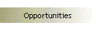 Opportunities